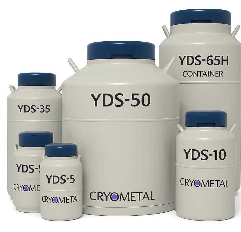 YDS2